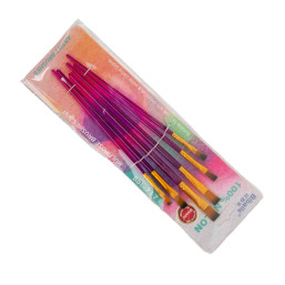 Artist Brush 6 Pcs Set